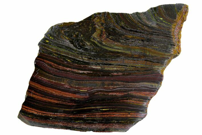 Polished Tiger Iron Stromatolite Slab - Billion Years #162086